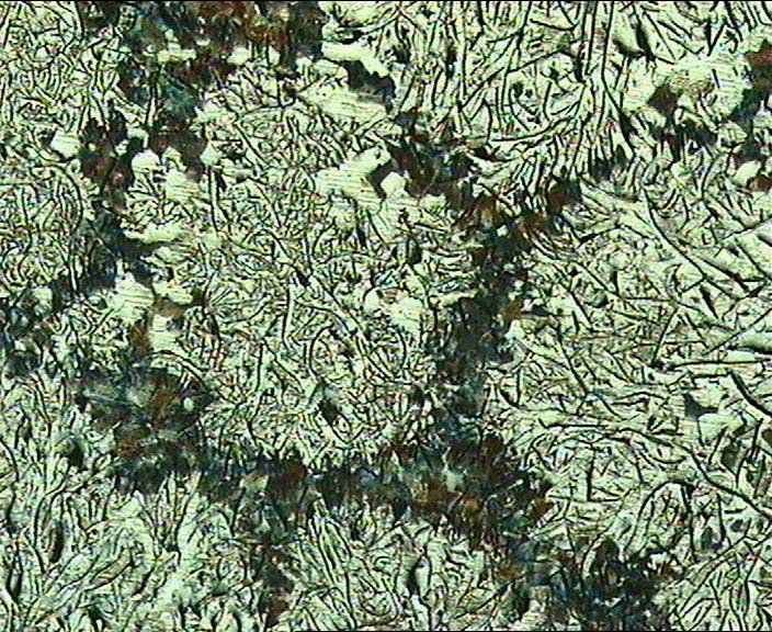 http://www.jdsharif-met.com/images/phocagallery/metallography/ferrous/thumbs/phoca_thumb_l_ferrous_07.jpg